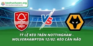 Tỷ Lệ Kèo Trận Nottingham - Wolverhampton 12/02: Kèo Cân Não Tỷ lệ kèo trận Nottingham - Wolverhampton 12/02